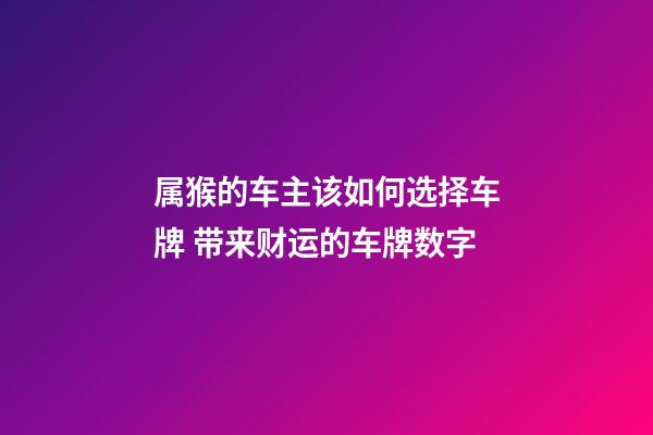 属猴的车主该如何选择车牌 带来财运的车牌数字